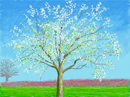 Hockney 4